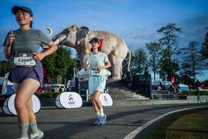 BIB: 
                            <button type="button" onclick="openModal(26541743)" class="btn btn-primary btn-sm float-right btn-popup" data-toggle="modal" data-target=".modal-high-quality">
                        <i class="fas fa-shopping-cart"></i> Add to Cart
                    </button>
                                            <button type="button" onclick="isThisMe(26541743, true)" class="btn btn-success btn-sm float-right btn-popup btn-isme hidden" data-toggle="tooltip" data-placement="bottom" title="นี่คือรูปของคุณใช่ไหม คลิกที่นี่เพื่อเอาเข้าอัลบั้ม">
                        <i class="fas fa-plus"></i> Add to album
                    </button>
                    <button type="button" onclick="isThisMe(26541743, false)" class="btn btn-warning btn-sm float-right btn-popup btn-isnotme hidden">
                        <i class="fas fa-ban"></i> Remove from album
                    </button>